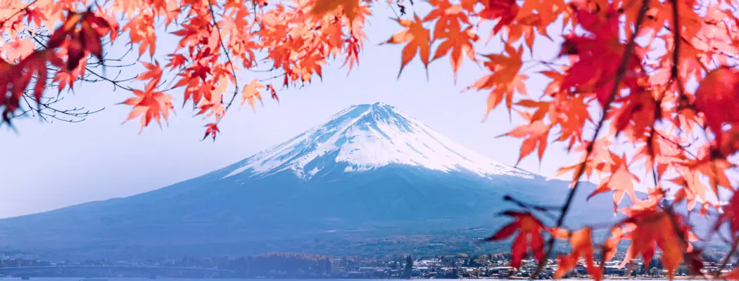 сезон выбрать для поездки в Японию