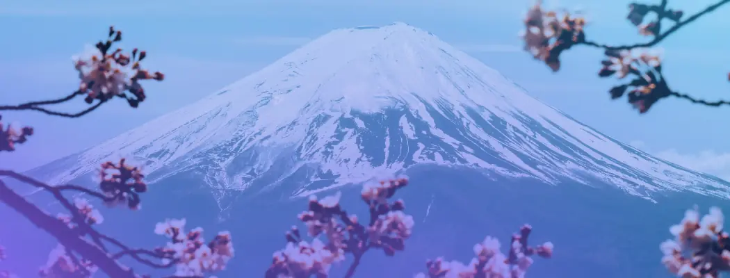 Сезон в Японии: когда лучше ехать и как вовремя подать на визу как выбрать лучшее время для путешествия в Японию